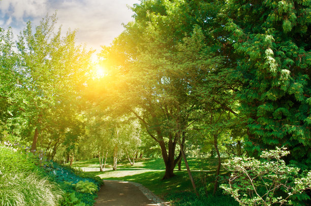漂亮的花园，有人行道和草坪。图片下载