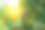 漂亮的花园，有人行道和草坪。图片下载