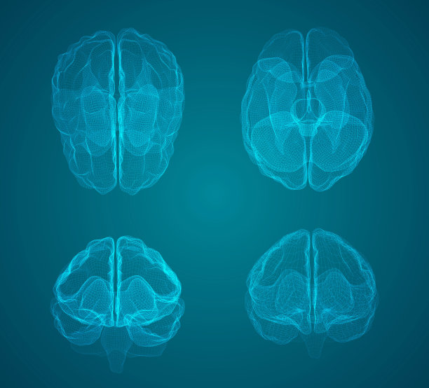 设定三维矢量网络大脑。神经网络超大数据处理，模板接口设计图片下载