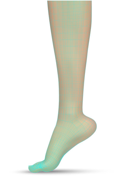 三维插图，矢量足体积，健康和鞋子的选择图片下载