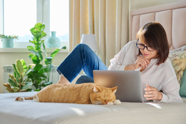 成熟的女人用笔记本电脑坐在家里的沙发上，带着放松的姜猫睡觉图片下载
