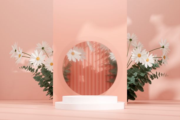 三维渲染插图常见雏菊花空白空间裙台显示为产品背景图片下载