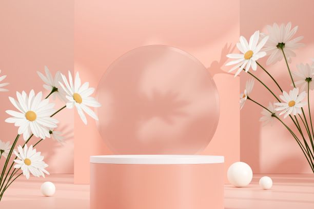 粉红色的三维渲染插图常见雏菊花空空间裙台展示产品图片下载