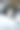 一只可爱的小狗裹在毯子里的垂直特写照片图片下载
