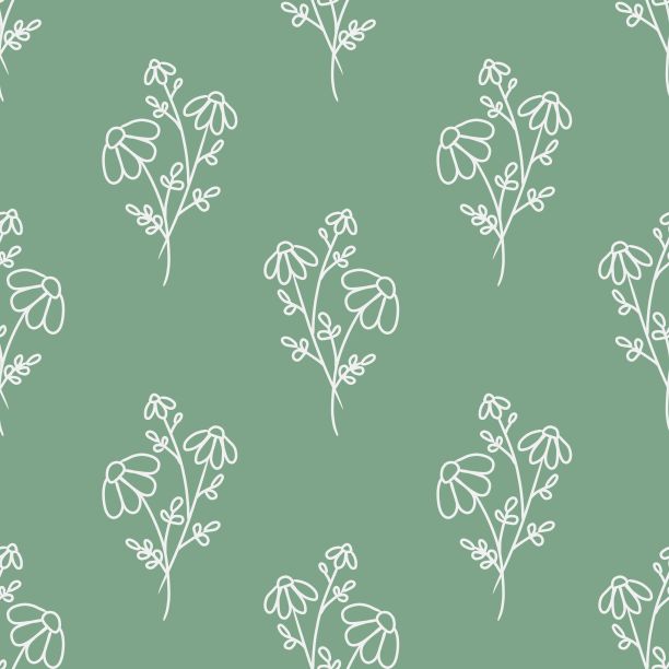 无缝模式与手绘雏菊在柔和的绿色背景，简单的数字植物插图图片下载