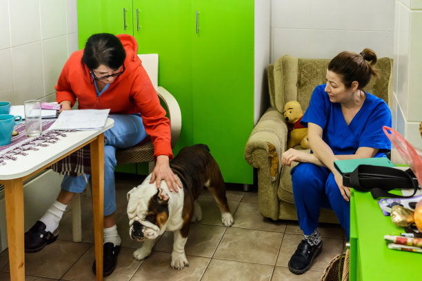 图为，兽医正抱着准备手术的家犬。图片下载