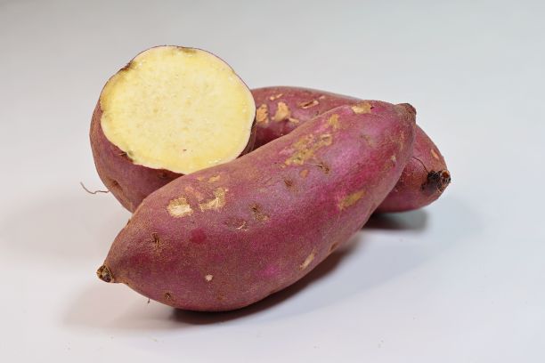 日本红薯的特写，横向切片和整个块茎，在白色图片下载