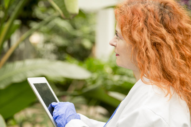 一名女子在温室里使用平板电脑图片下载