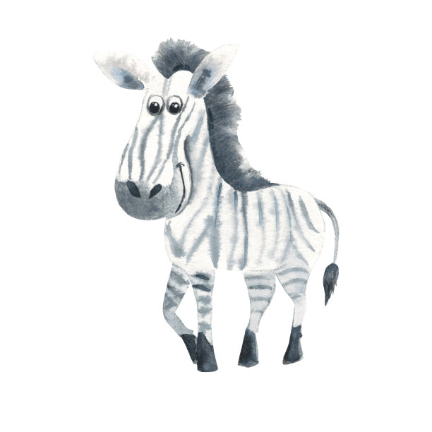可爱的斑马孤立在白色背景。水彩手绘插图。完美的儿童卡片，呼吁，壁纸设计，剪贴簿。图片下载