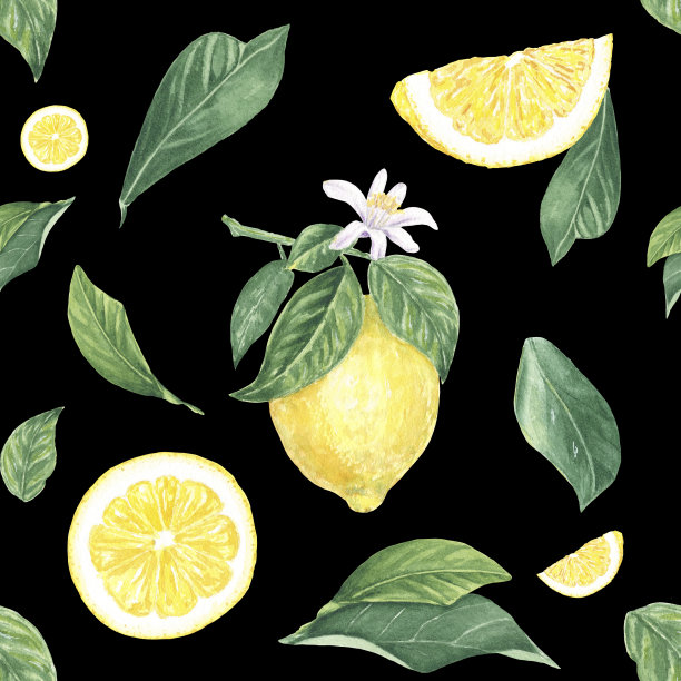 水彩无缝图案柠檬，片，花，叶子在黑色背景，手绘植物风格，度假，婚礼，食品设计。柑橘，热带水果织物，纺织品，壁纸，封面，印刷品，包装，纸张，剪贴簿图片下载