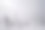 雪怪覆盖着霜冻覆盖的树木，在纯白色的雾中图片下载