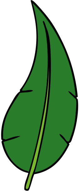 手绘卡通涂鸦的绿色长叶子图片下载