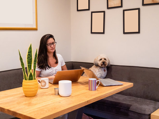 年轻女子带着狗在家工作图片下载