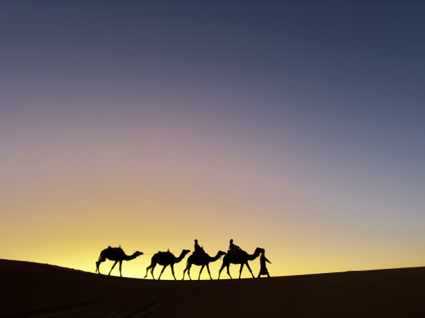 日落时分，在导游的带领下，撒哈拉沙漠的游客乘坐骆驼队图片下载