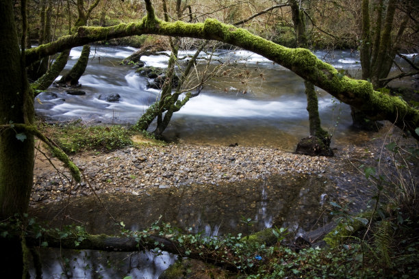 Mandeo river, winter landscape,  bare trees, Betanzos, A Coruña province, Galicia, Spain.图片下载