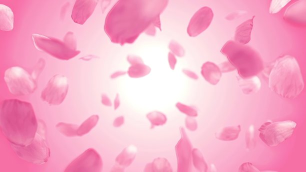 情人节玫瑰花瓣图片下载