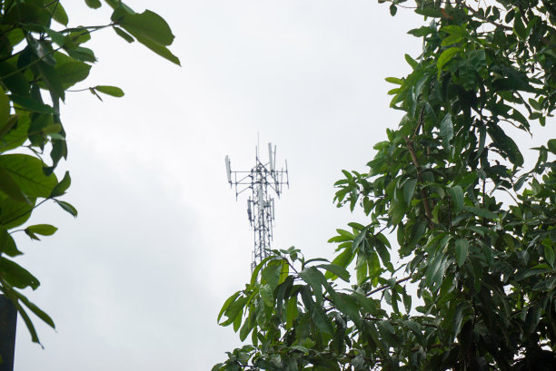 村里的自然照片图片下载