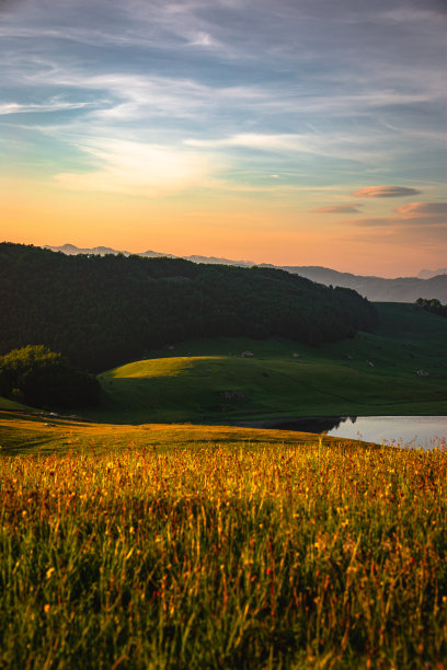 在美丽的日出期间，阳光下覆盖着绿色植物的山丘的垂直拍摄图片下载