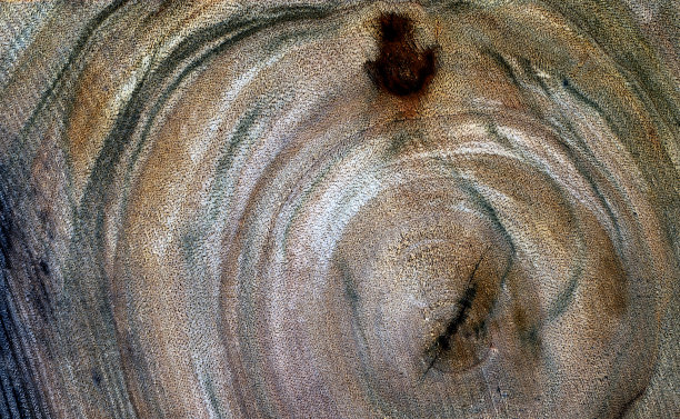 抽象木材纹理为背景，宏观视图图片下载