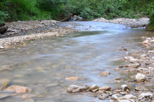 春天森林里的河流图片下载