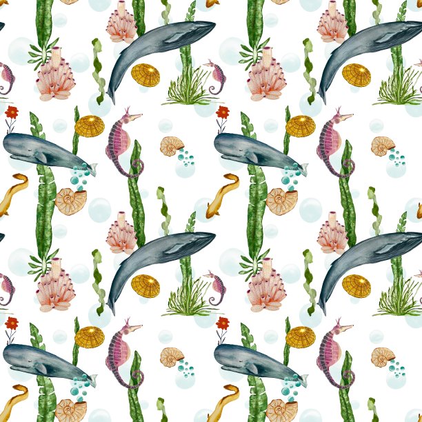 贝壳礁珊瑚鲸鱼海水彩图案图片下载