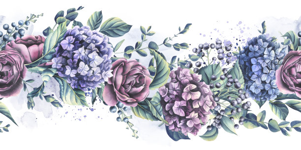 绣球花、玫瑰、尤加利树枝和装饰性的浆果。水彩插图。无缝横幅上的白色背景从婚礼鲜花系列。用于装饰和设计。图片下载