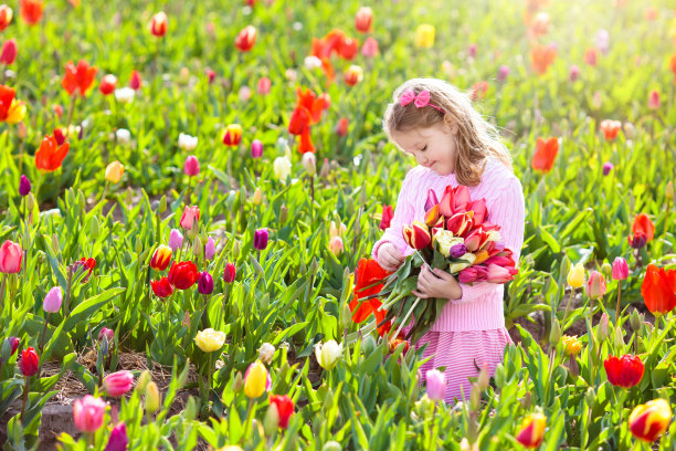 郁金香花园里的小女孩图片下载