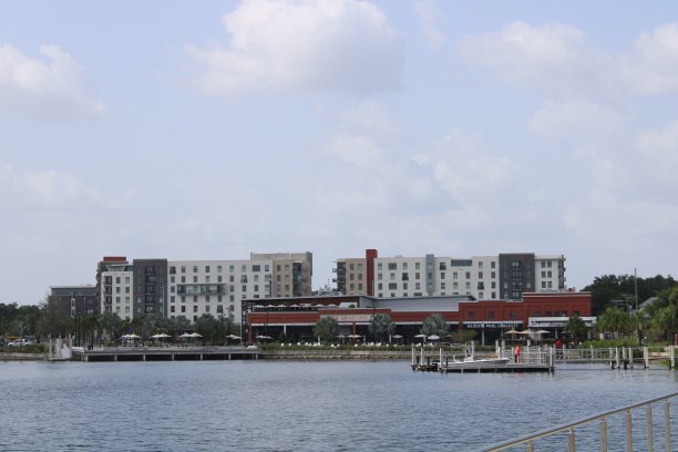 佛罗里达州坦帕的公园和天际线图片下载