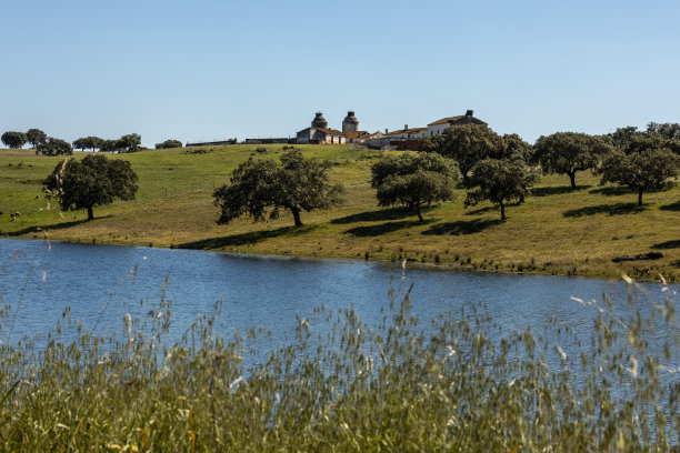 白天的Alqueva湖和一些建筑的美丽照片图片下载