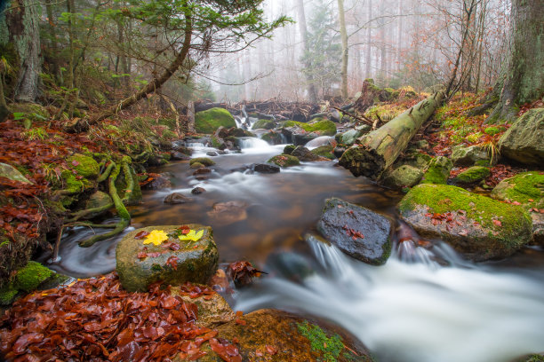 美丽森林中的小瀑布溪流图片下载