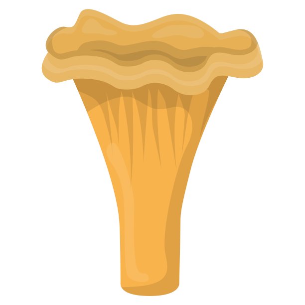 鸡油菌蘑菇。食用有机蘑菇。松露棕色帽。森林野生蘑菇类型。图片下载