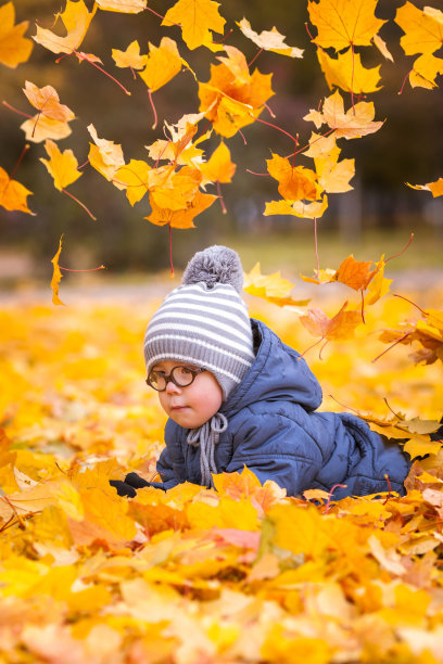 戴圆眼镜的小男孩躺在黄色的秋叶中。秋天l图片下载