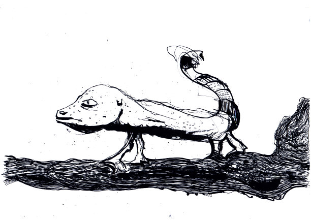 豹壁虎蜥蜴墨水插图绘画图片下载