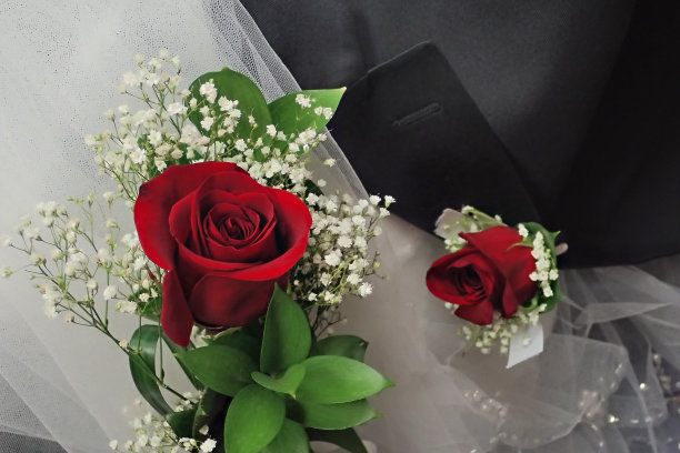 送给新娘和新郎的玫瑰图片下载