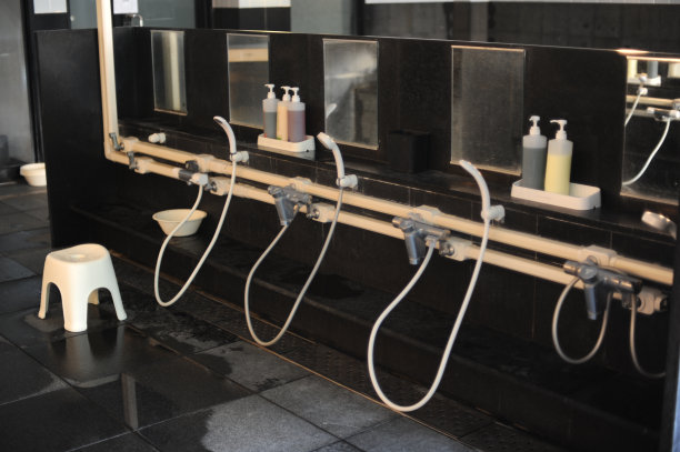 浴室内部有淋浴，软管，洗发水和肥皂分配器，镜子图片下载