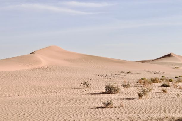 美丽的贫瘠沙丘图片下载