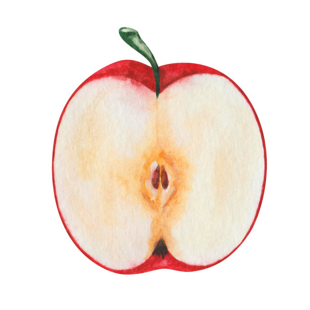 水彩插图。手工绘制的红苹果切成两半，棕色的种子。香甜成熟的水果。生食。新鲜果汁成分。夏天收获，秋天收获。孤立的剪贴艺术海报，印刷，横幅图片下载