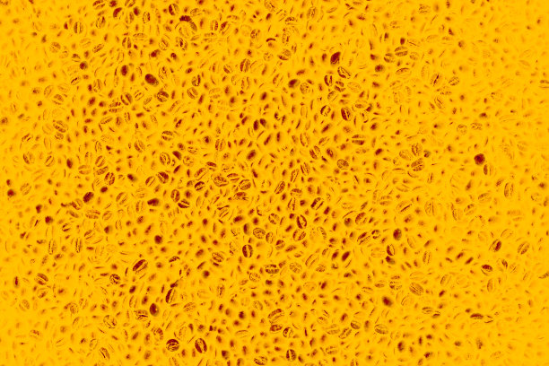 亮橙色的咖啡豆背景，壁纸图片下载