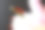 特写的粉红色百合花在黑色的背景图片下载
