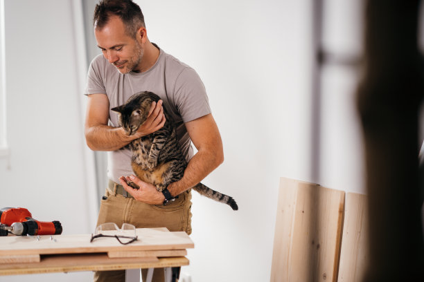 在宠物的帮助下发挥创造力图片下载