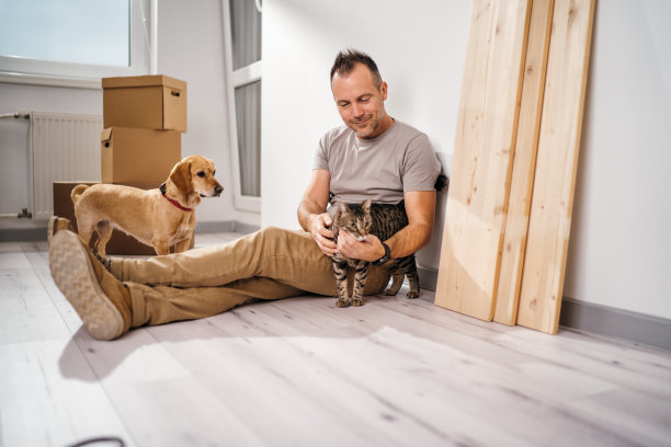 搬到有宠物的新公寓图片下载