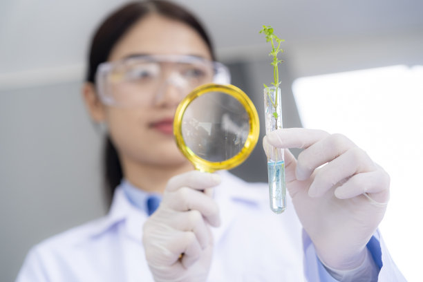 生物学家在实验室的试管中拿着带根的幼苗。图片下载