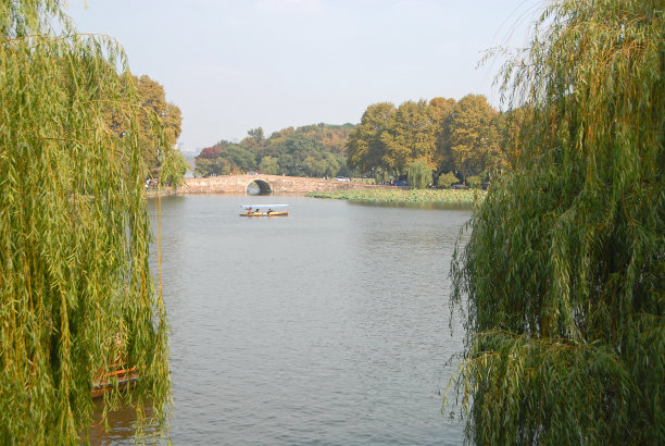 中国杭州的西湖，有柳树图片下载