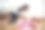 女人在客厅里训练，在家锻炼。图片下载