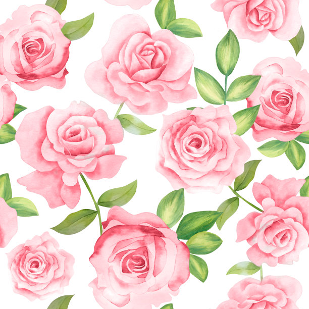 无缝、水彩、花、模式、玫瑰、白色背景图片下载