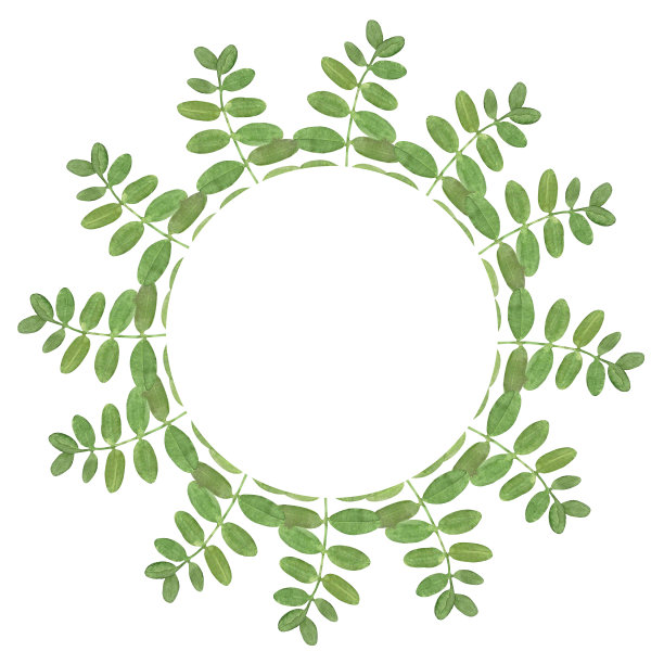 水彩圈框相思绿叶。图片下载