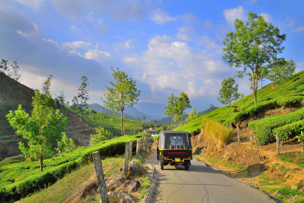 在茶园环绕的道路上行驶的机动人力车。图片下载