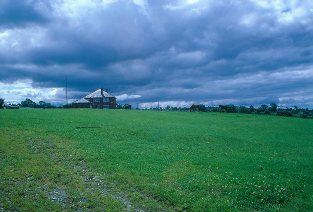 20世纪80年代旧正片扫描，马在Mellifont种马场，劳斯郡，爱尔兰图片下载
