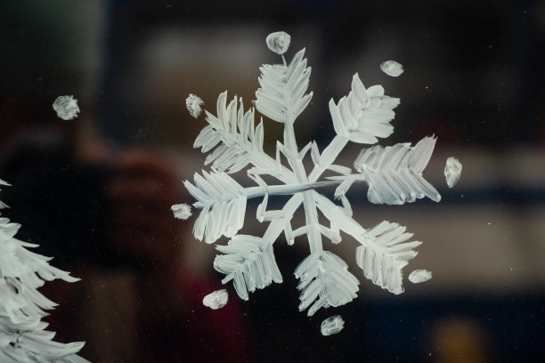 冬天的窗户上画着雪花图片下载