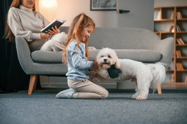 侧视图。女孩正在和她的宠物玩耍。母亲和女儿在家里牵着一条马耳他狗图片下载